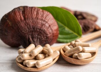champignon complément alimentaire