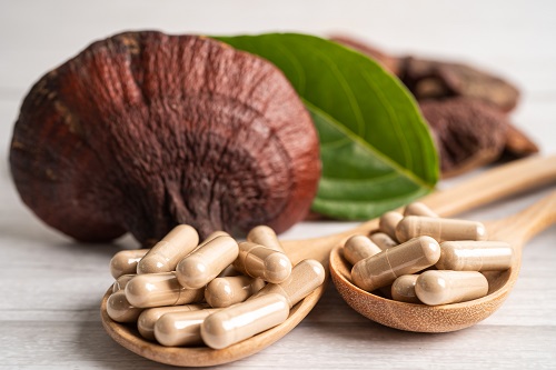 champignon complément alimentaire